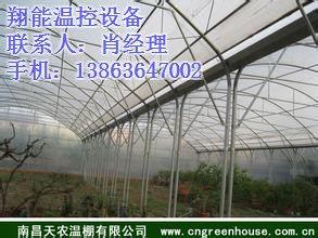 大棚视频,大棚视频揭秘高效种植奥秘