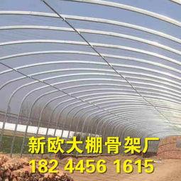 大棚视频,大棚视频揭秘高效种植奥秘