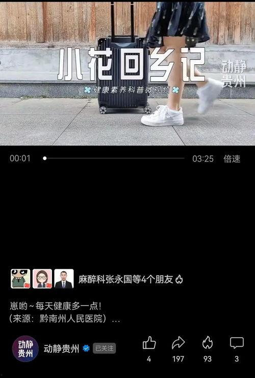 3分钟视频,视频内容精华概览