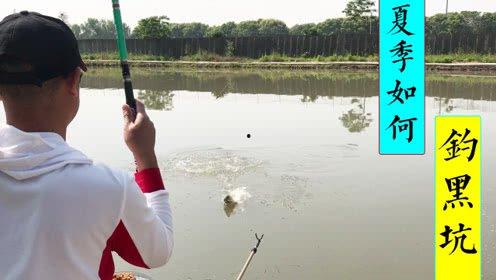 夏天钓鱼视频