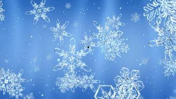 雪花视频