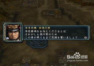 读野望视频,探寻自然之美，感悟人生哲理