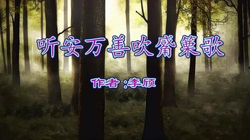 吹觱篥视频,一场视觉与听觉的盛宴